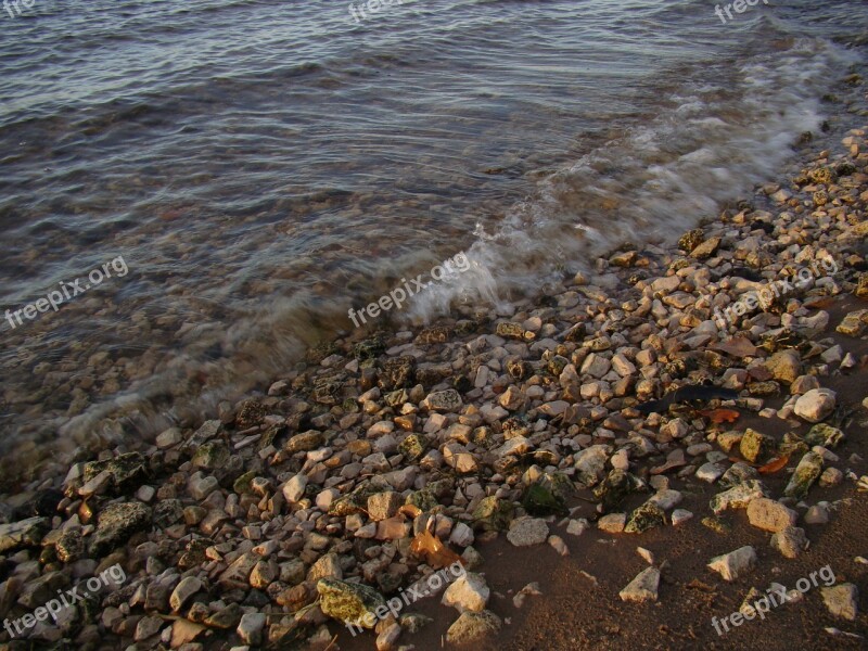 Beach River Stones Wave Leaves