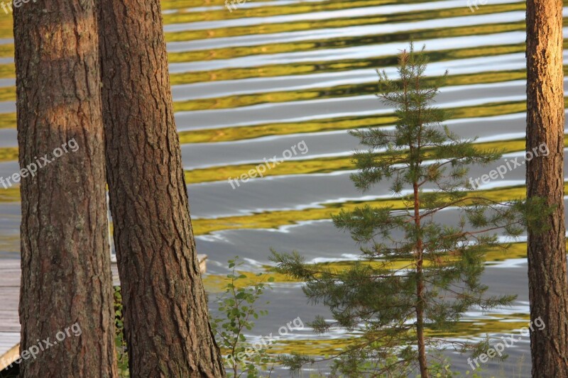 Lake Saimaa Waves Daybreak Free Photos