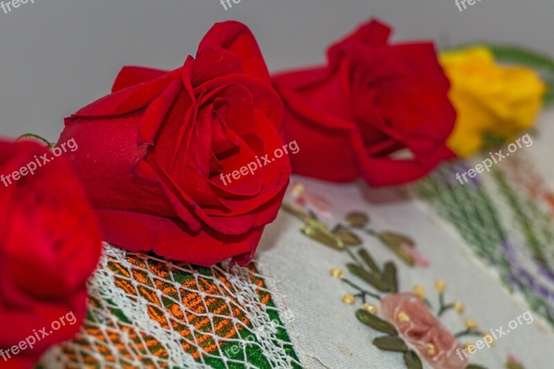 Rose Red Rose Flower Decoration Free Photos