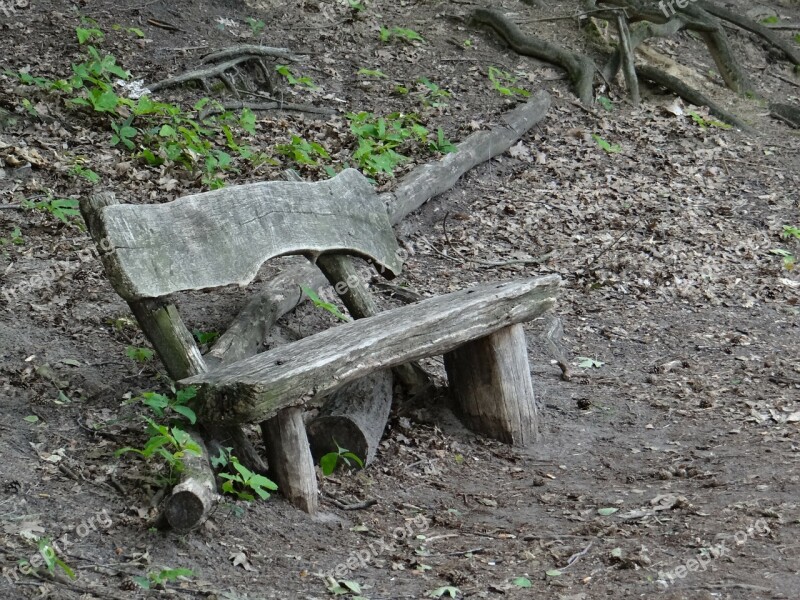 Forest Bank Nature Loneliness Silent