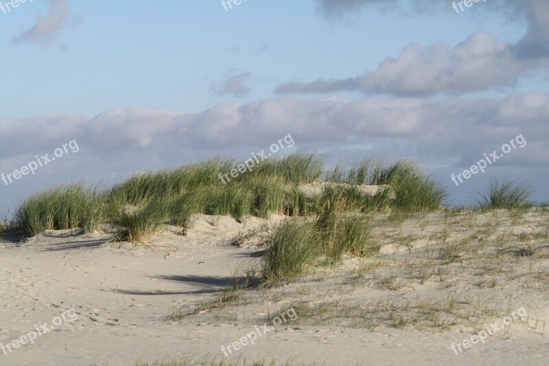 Beach Dunes North Sea Free Photos