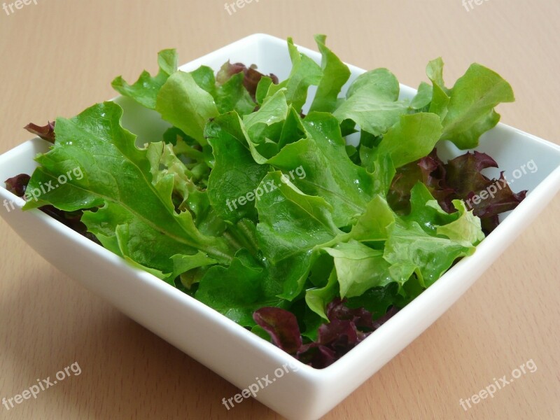 Salad Healthy Eating Green Leaf