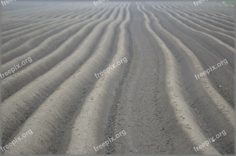 Meadow Nature Blank Earth Plowing