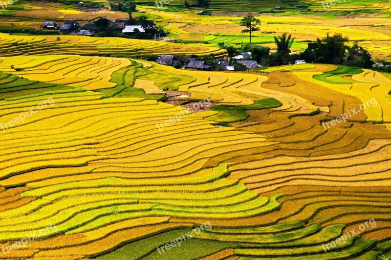 Terraced Fields Cang Chai District