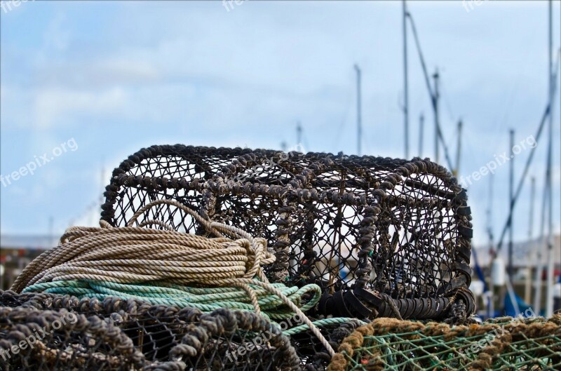 Trap Crab Pots Lobster Coastal