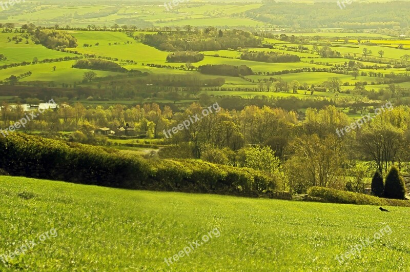 Landscape Fences Spring Summer England