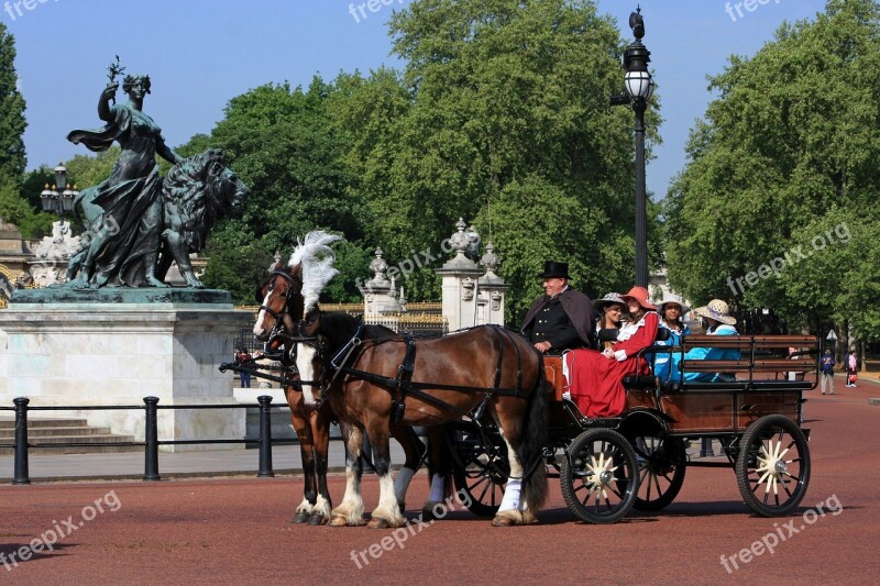 Horse And Carriage Carriage Horse Horses London