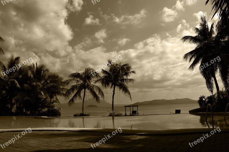 Nature Background Shadows Trees Plants