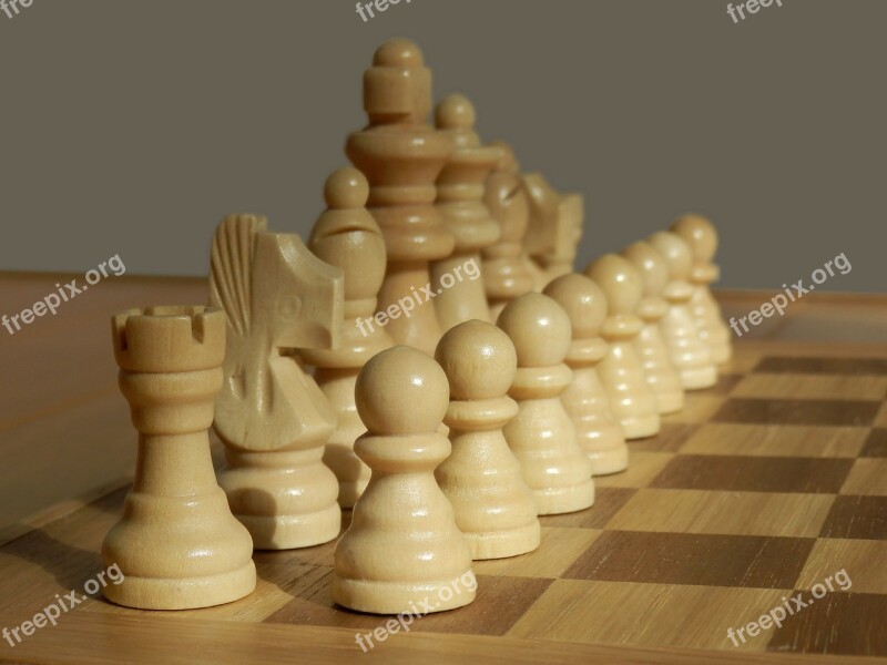 White Pieces Chess Set Game