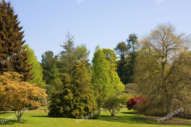 Trees View Beautiful Landscape Landscaped