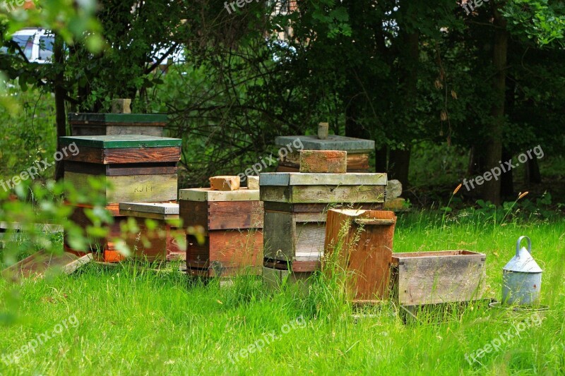 Beehive Beehives Outdoors Nature Field