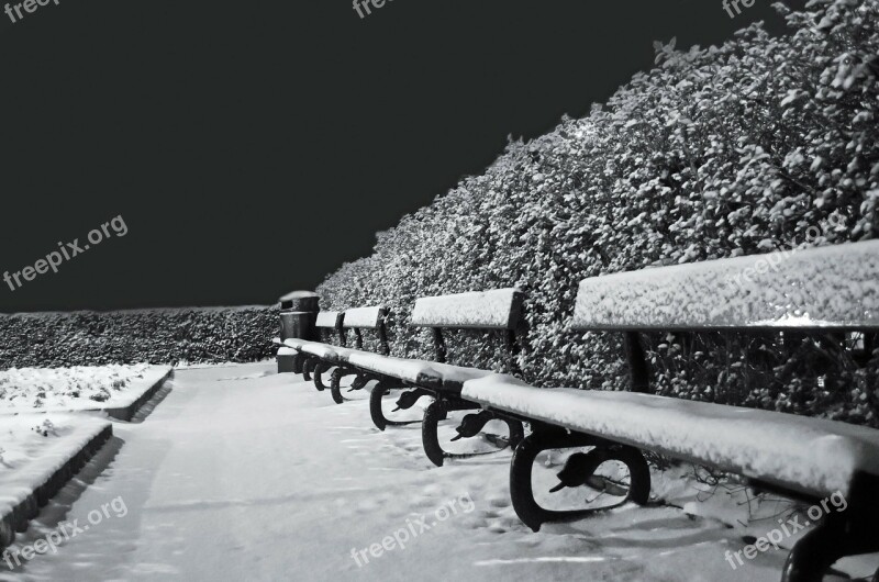 Snowy Snow Frost Seasons Benches