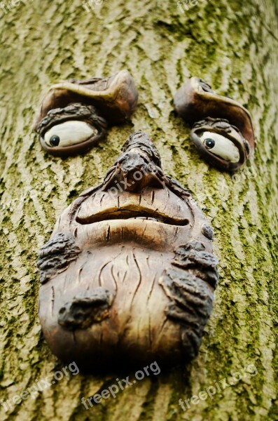 Face Tree Trunk Wood Wooden