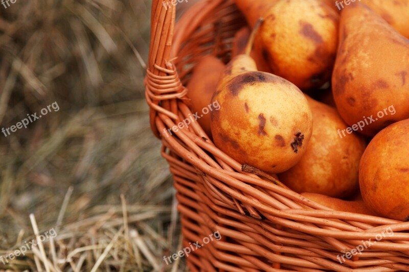 Basket Brown Delicious Diet Food