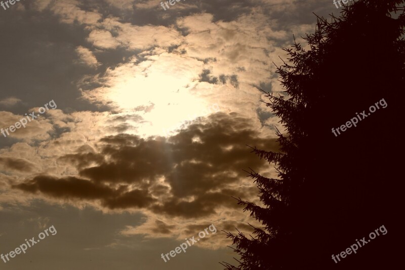 West Sun Clouds Afterglow Trees