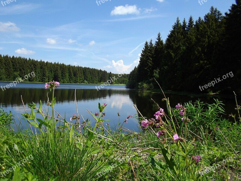 Upper Harz Water Shelf Mining Resin Pond Free Photos