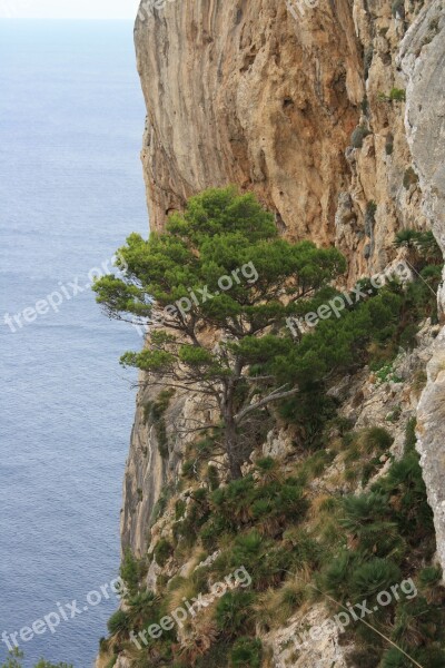 Mallorca Steep Slope Landscape Sea Blue Water