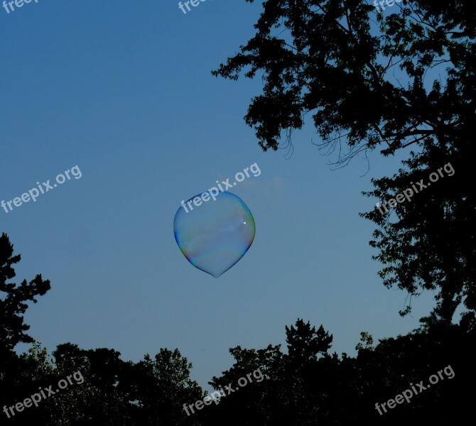 Soap Bubble Large Tree Flight Children