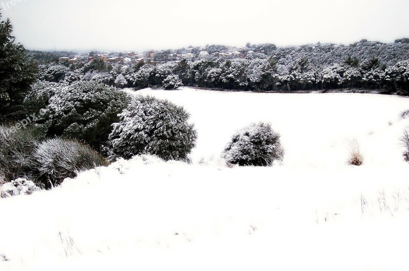 Snow Nevada Winter Landscape Snowy Landscape