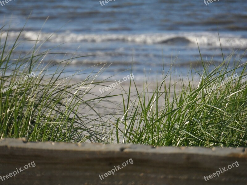 Ameland Beach North Sea Sea Free Photos