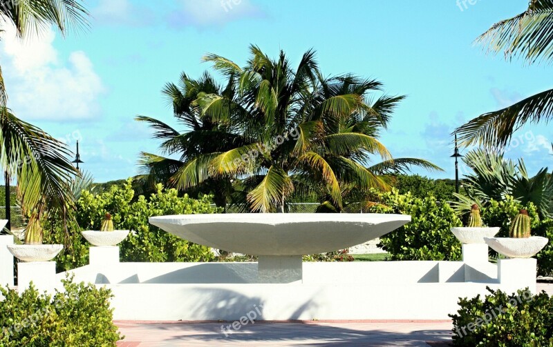 Caribbean Sea Beach Palm Trees Sun