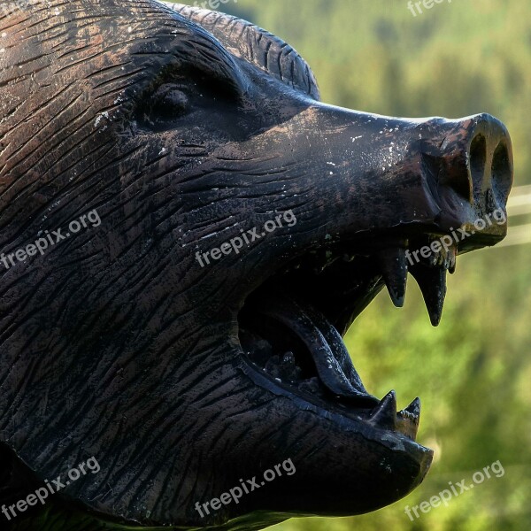 Grizzly Bear Mammal Head Metal