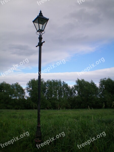 Oxford England Nature Column Lampa