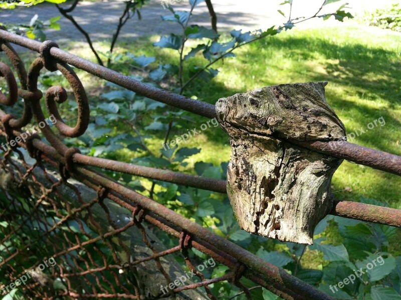 Fence Mesh Wire Fence Overgrown Bars Wire