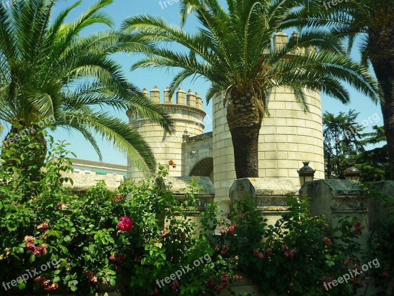 Door Wall Palms Badajoz Renaissance