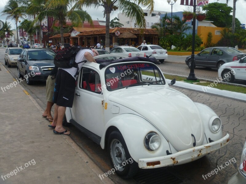 Auto Vw Beetle Vw Beetle Oldtimer