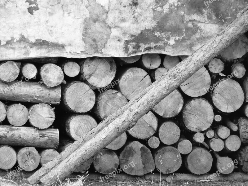 Wood Supply Winter Tree Free Photos