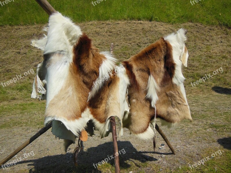 Cattle Hides Fur Furry Tree Stand Medieval Market