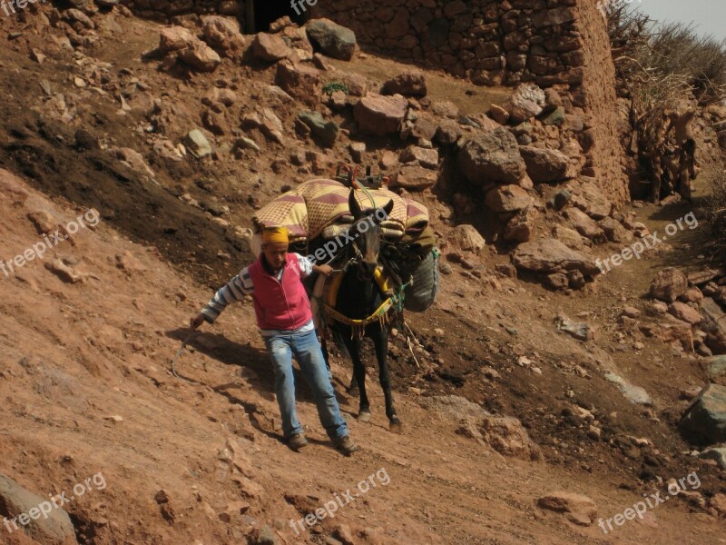 Atlas Mountains Mule Slip Trekking Hiking