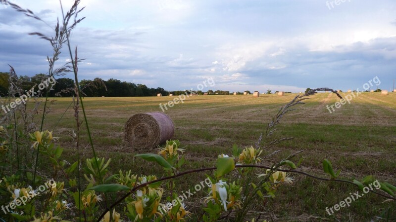 Field Sky Haystack Honeysuckle Free Photos