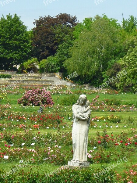 Rose Garden Statue Rose Bushes Colorful Roses Avenue