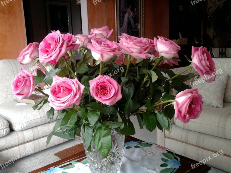 Roses Pink Roses Flowers They Jaron With Flowers Trim