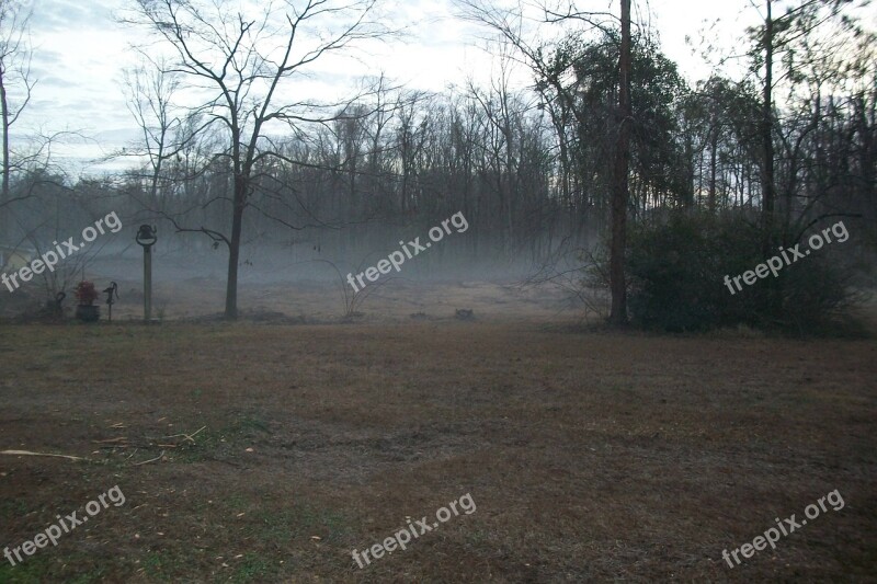 Foggy Morning Fog Foggy Landscape Mist