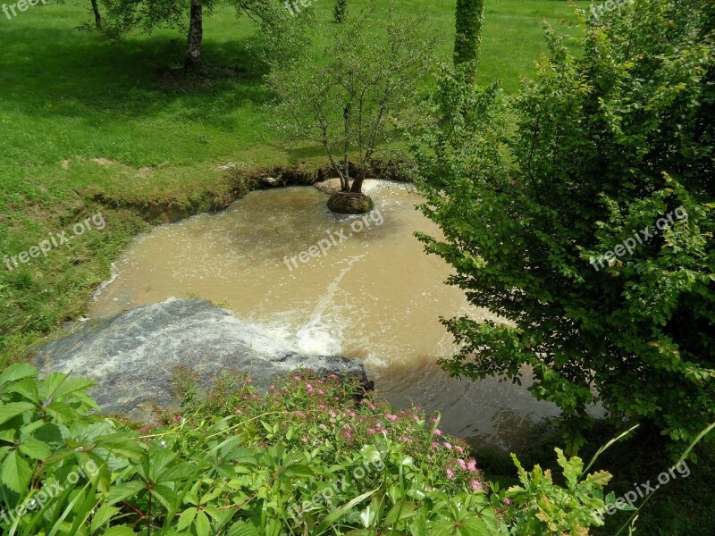 Creek Nature Basin Field Free Photos