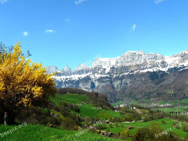 Alpine Mountains Glacier Austria Meadow