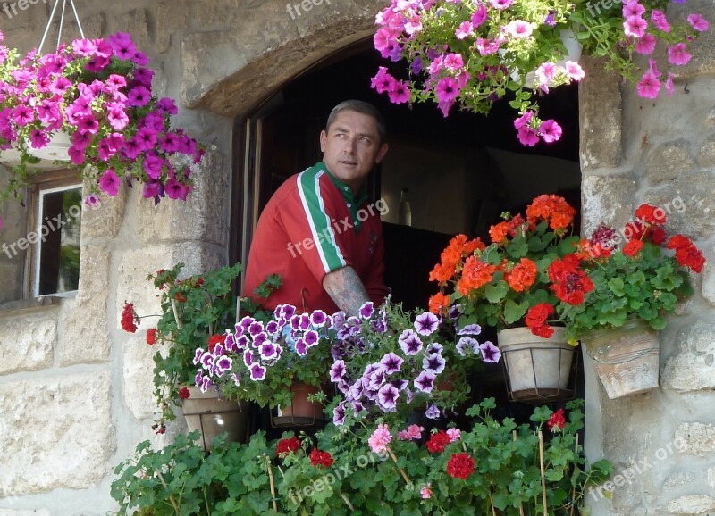 Hanging Baskets Flowers Decoration Person Man