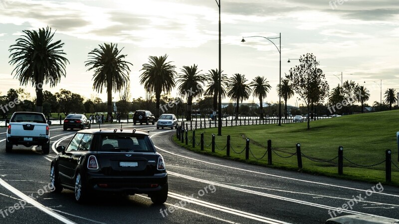 Albert Park Road Car Lines Trees