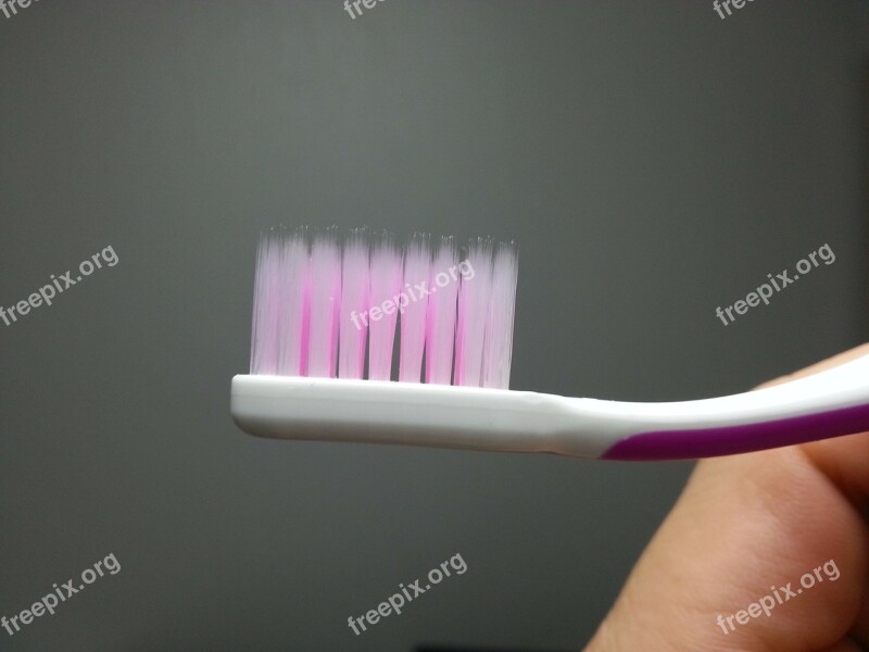 Toothbrush Toothpaste Clean Mouth Free Photos