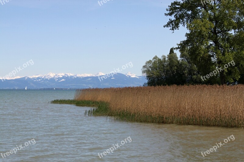 Switzerland Lake Constance Lake Landscape Alpine