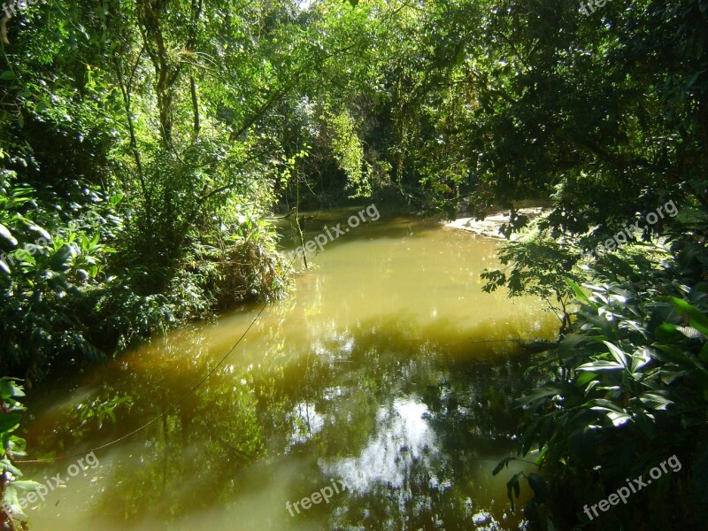 Stream Ribeiro Water Mountain Stream Free Photos