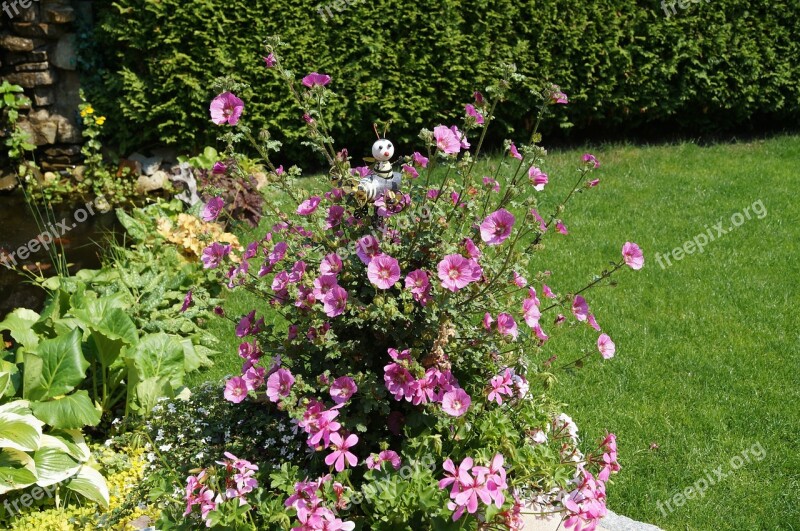 Garden Mallow Kitsch Flowers Pink Mallow