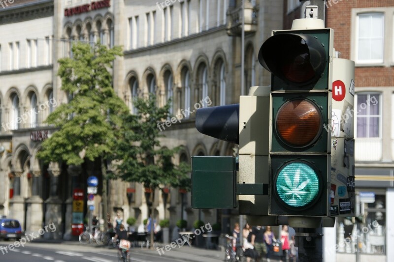 Traffic Lights Hemp Road Sign Grass Green