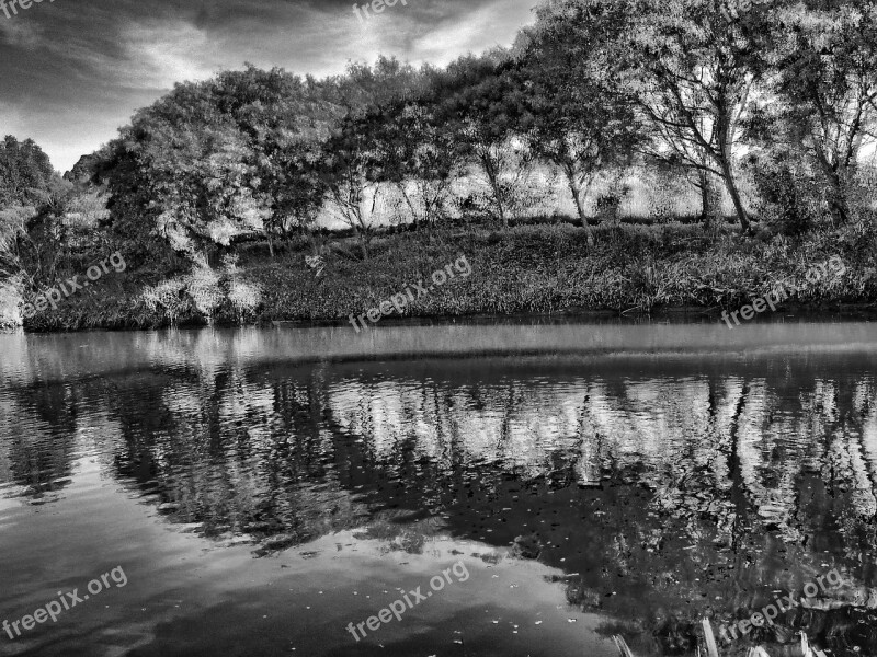 Trees Black And White Nature Lake Free Photos