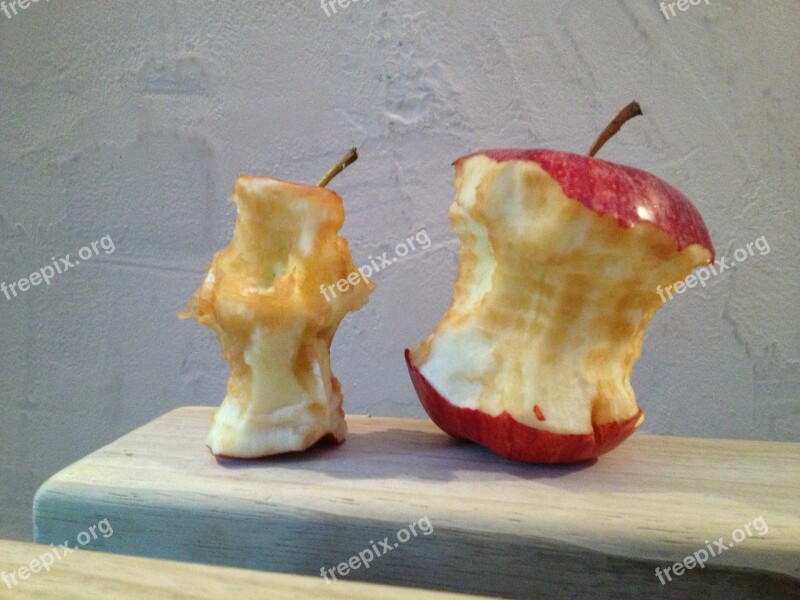 Apple Chewed On Eaten Apple Core Organic Waste