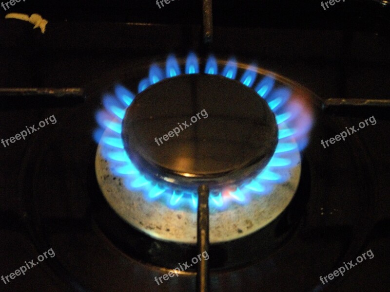 Gas Stove Burn Gas Cook Hotplate