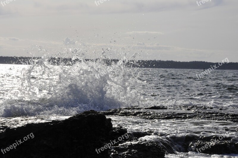 Water Splash Coastal Free Photos